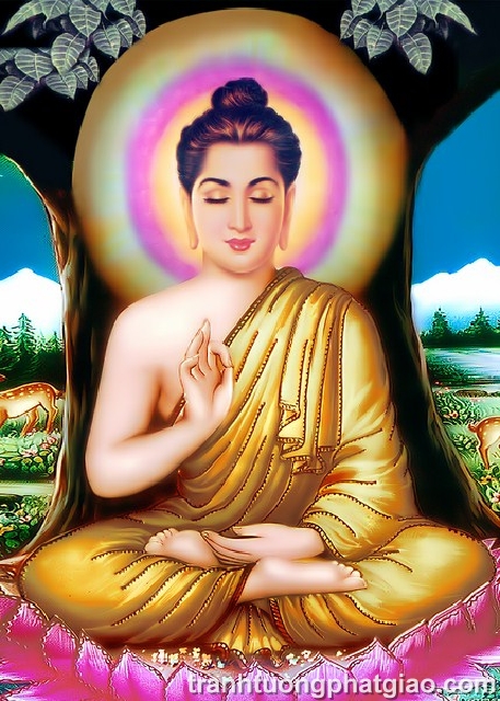 Bổn Sư Thích Ca Mâu Ni Phật (324)